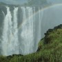 303-Zambia