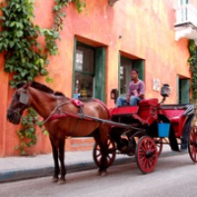 colombia-horse-carriage