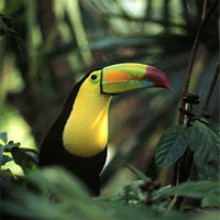 costa-rica-above-clouds
