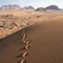 jordan-wadi