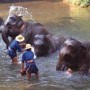 pj-thailand-sized