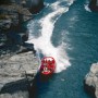 speed-new-zealand