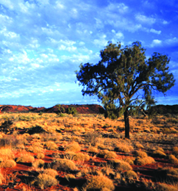 australia-2