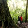 costa-rica