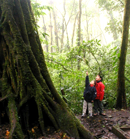 costa-rica