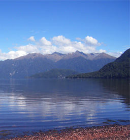 new-zealand