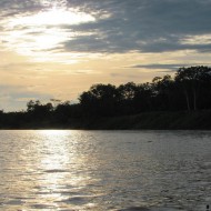 Amazon River