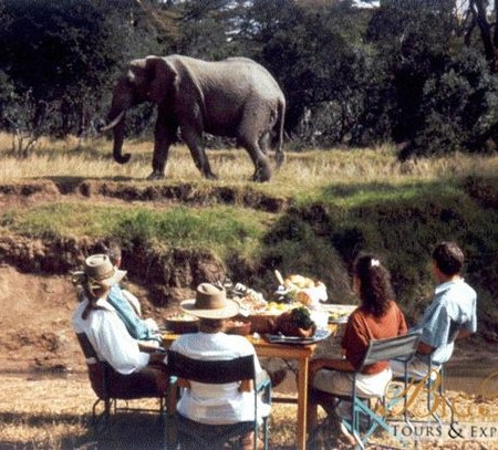 Dining With Elephants