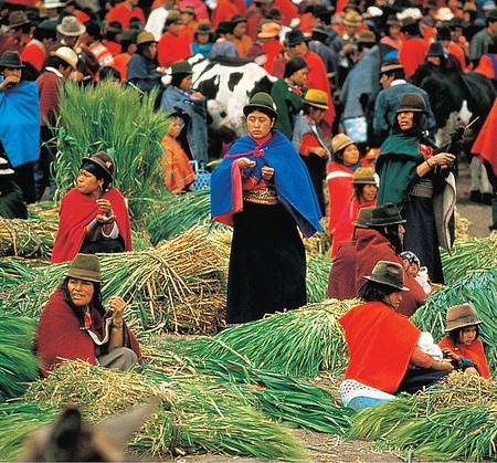 Ecuadorian Market