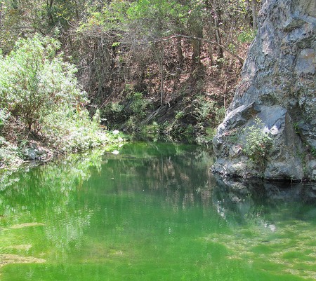 Parque Nacional Cerros de Amotape