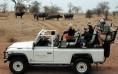 Safari