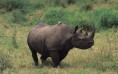 Selous Game Reserve