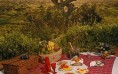 Tanzania Picnic