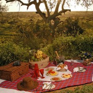 Tanzania Picnic