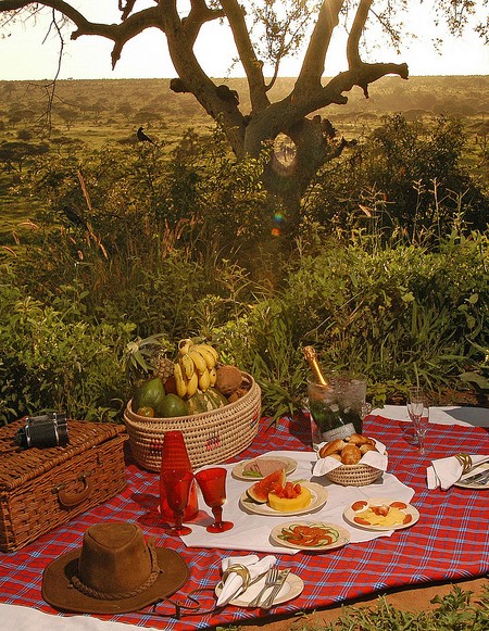 Tanzania Picnic