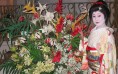 Geisha