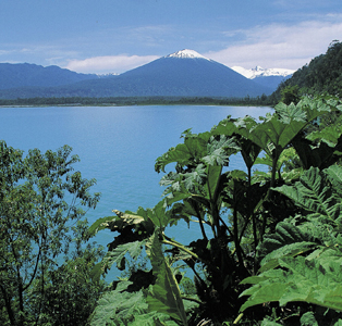 Patagonia1