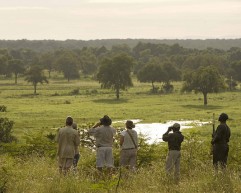 Sanctuary-Puku-Ridge-Camp-Zambia