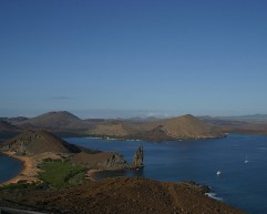 Scuba-Diving in-the-Galapagos-Islands-and-Why-You-Should-Go