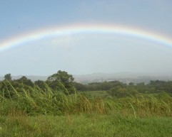 Discovering-Costa-Rica-with-Destination-Specialist-Rachael-Colbert