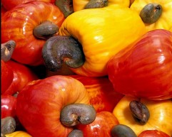 The-Cuisine-of-Brazil