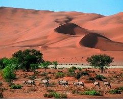 Top-Eco-Conscious-Travel-Destinations