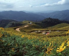 What-is-Sustainability-and-Why-Is-It-Important