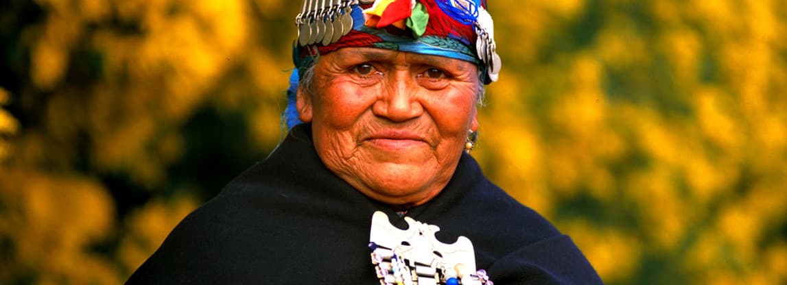 Image result for mapuche culture